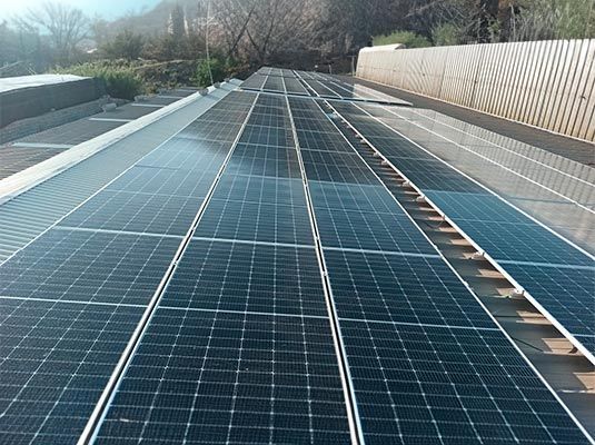 Estudios-de-viabilidad-de-proyectos-de-energías-renovables-y-eficiencia-energética__Prunuss_4